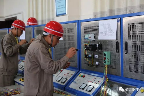 盈江縣職業(yè)高級(jí)中學(xué)2017年技能大賽 學(xué)生技能篇與技術(shù)服務(wù)