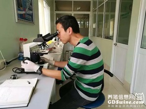 正典球苗技術(shù)服務(wù)團(tuán)隊(duì) 專業(yè)力量走出國(guó)門，賦能全球客戶養(yǎng)殖新高度